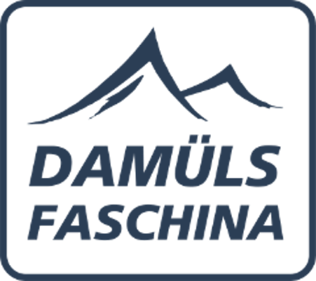 Snowboard lessons in Damüls logo