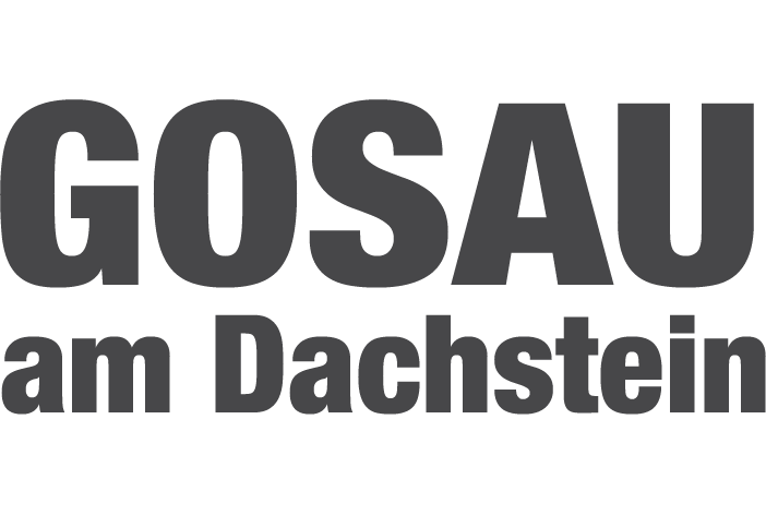 Cours de snowboard à  Gosau logo